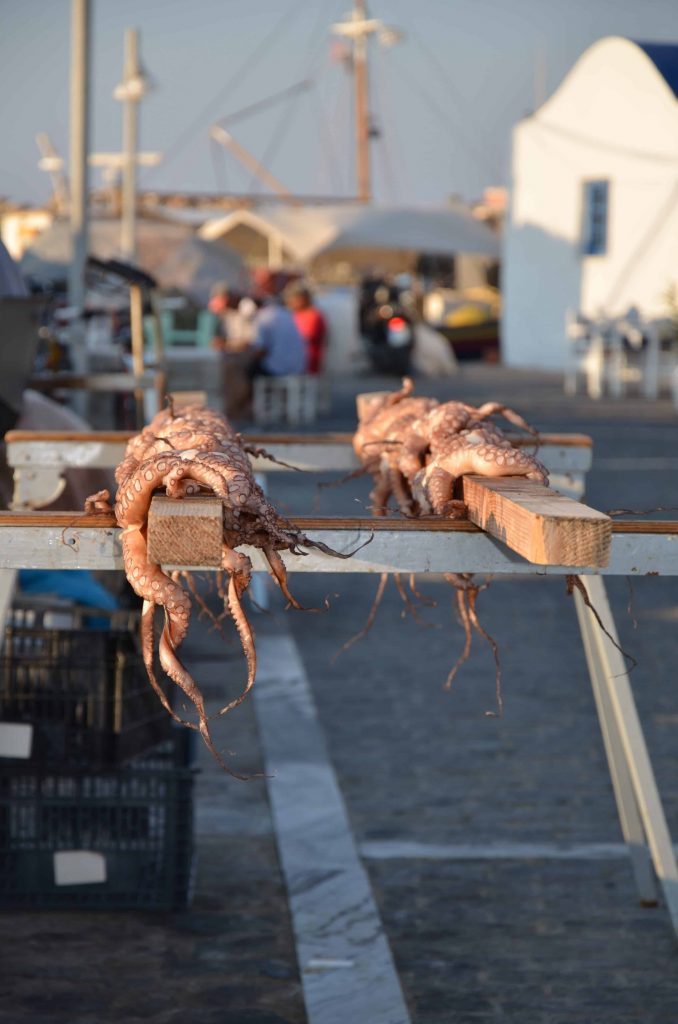 al porto di Naoussa